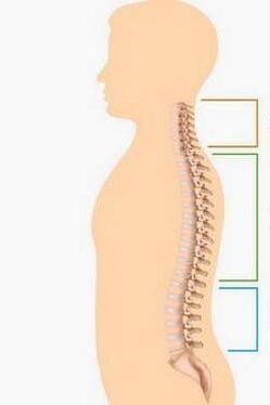 defeat with osteochondrosis of different parts of the spine