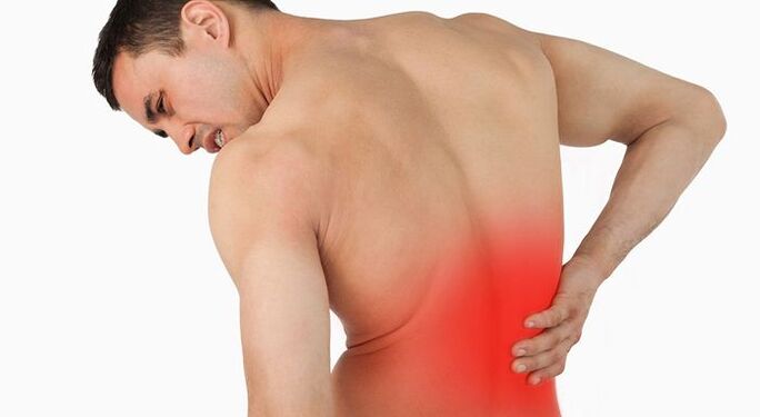 pain in the lower back